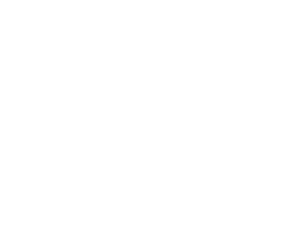 v8 logo